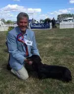 Screenshot_20180730-000923__01