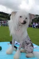 2016-07-23 001 2016-07-23 100.JPG