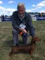 Screenshot_20180730-001007__01