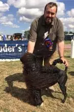 Screenshot_20180729-204658__01