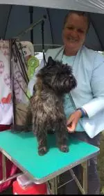 Screenshot_20180729-204810__01