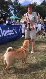 Screenshot_20180730-000725__01