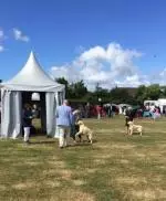 Screenshot_20180729-204748__01